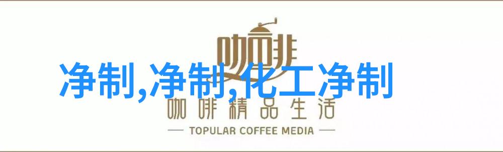 气泡清洗机(GPX-800)